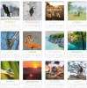 Fotokalender Natur 2027 - Wandkalender